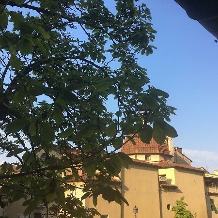 卢卡Casa Francesca公寓 外观 照片