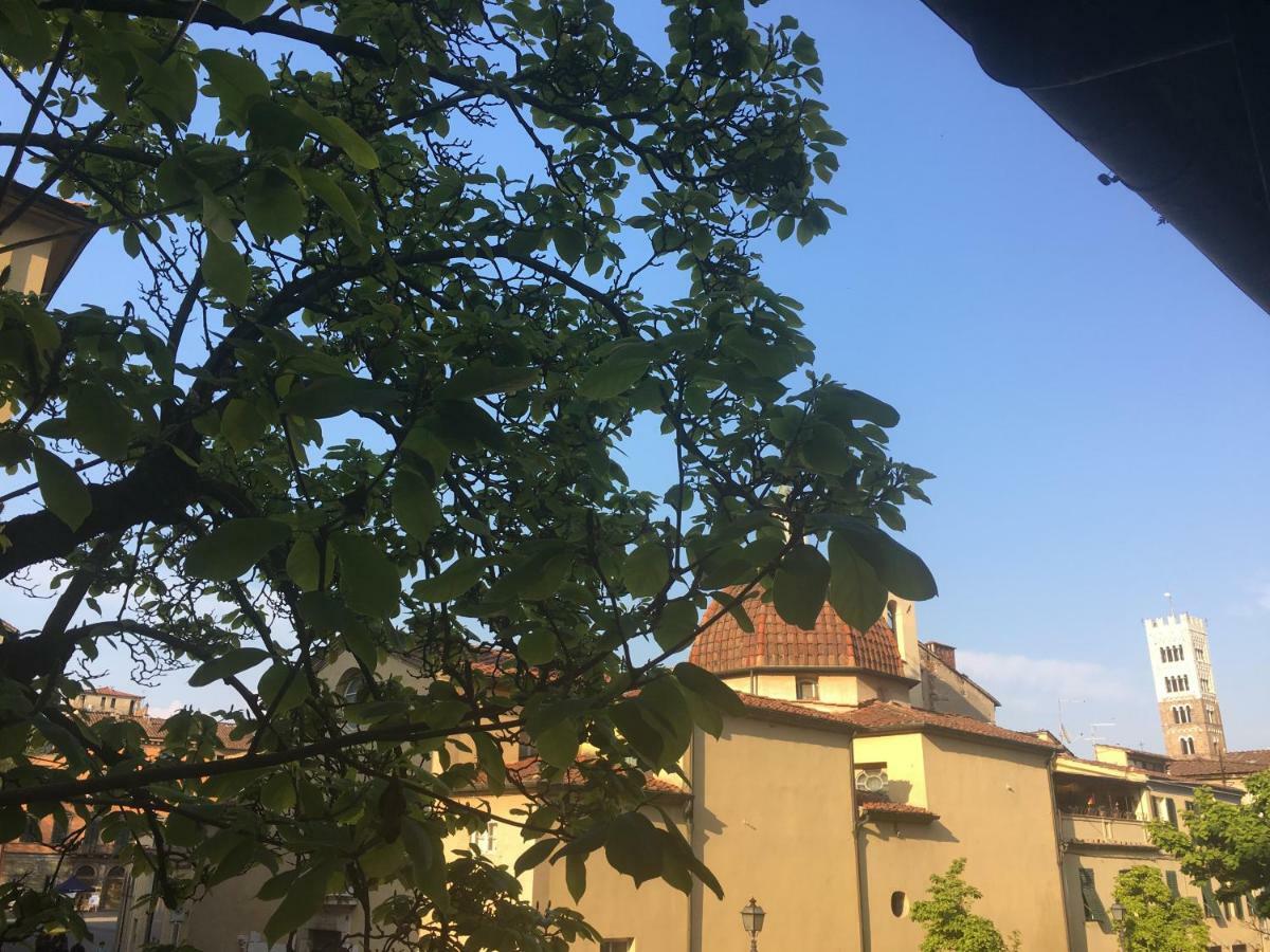卢卡Casa Francesca公寓 外观 照片